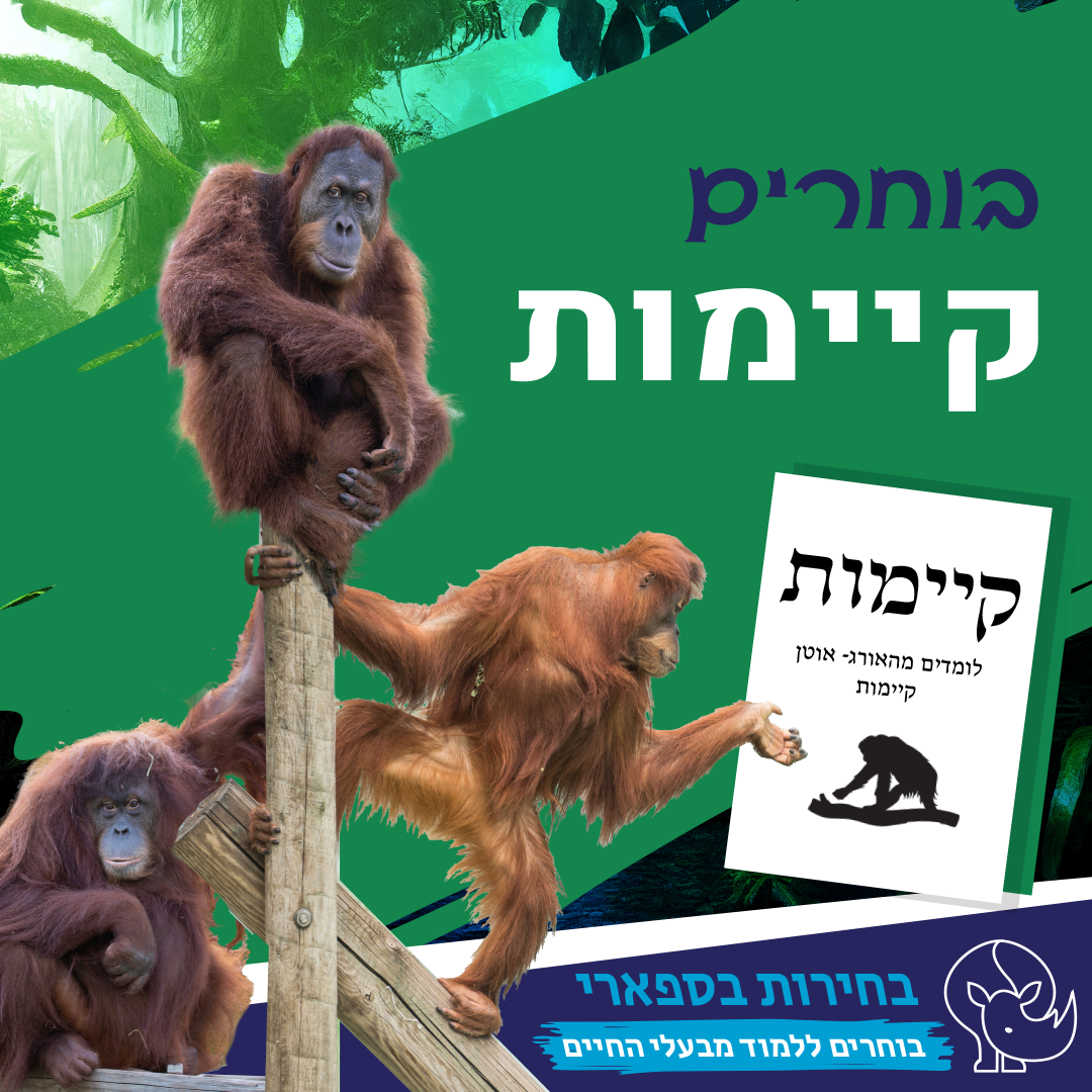 תמונת סיור