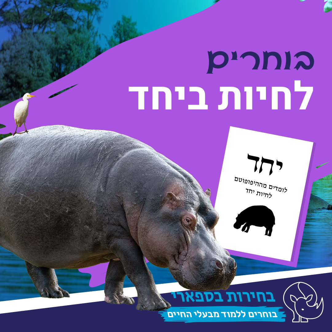 תמונת סיור