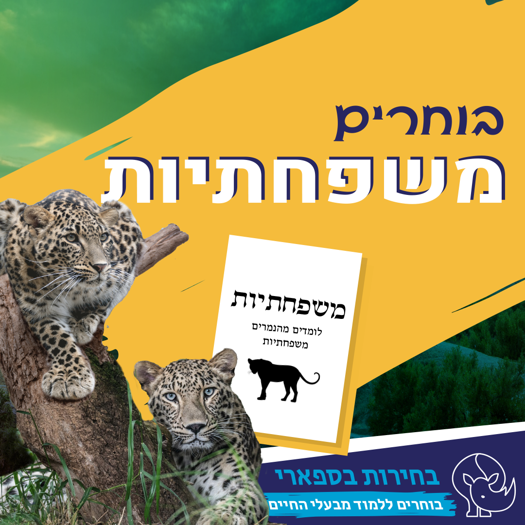 תמונת סיור