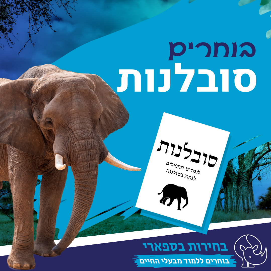 תמונת סיור