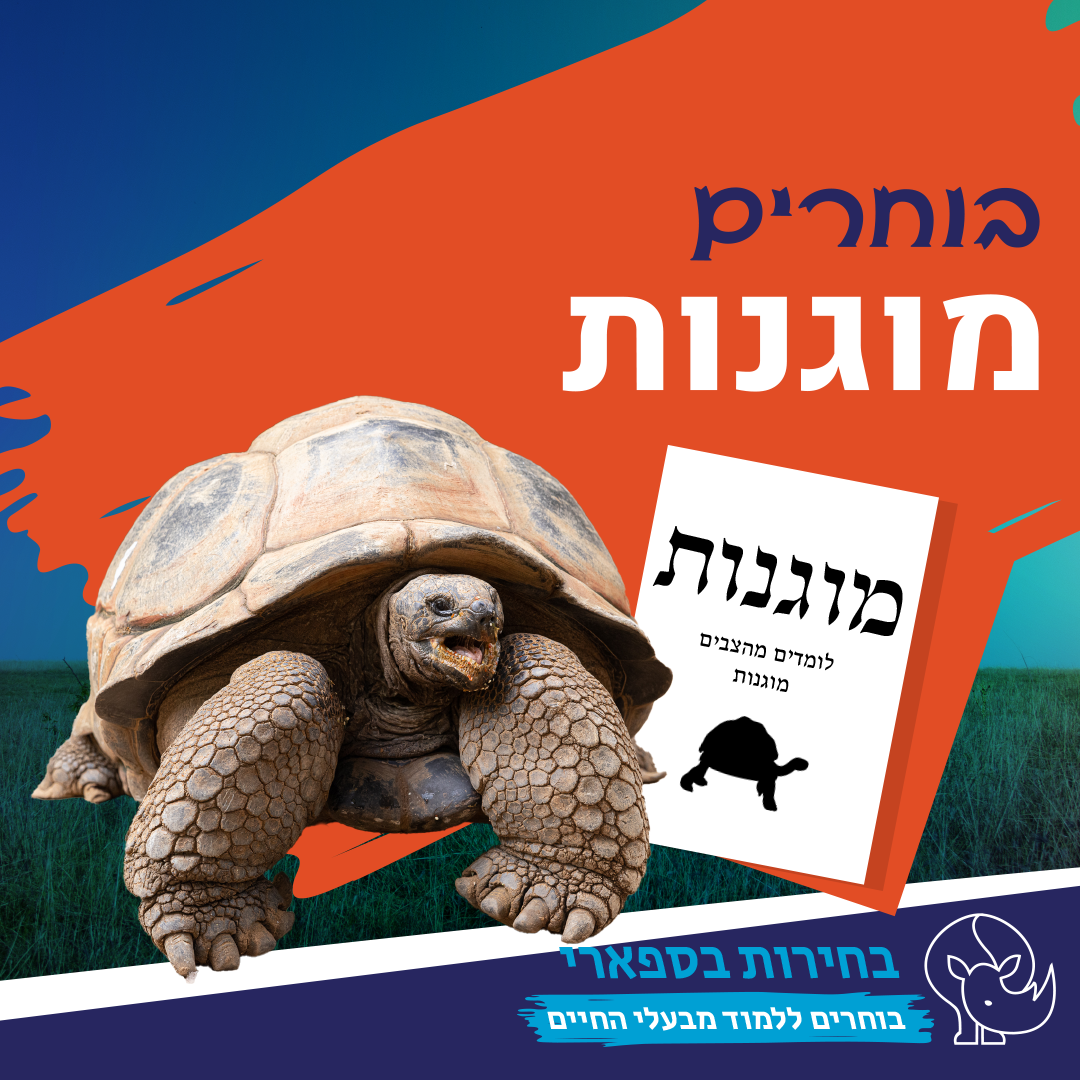 תמונת סיור