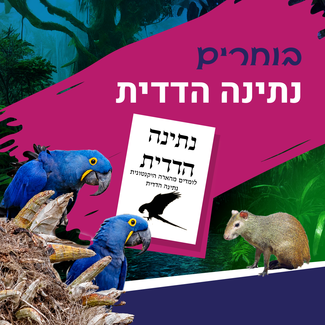 תמונת סיור
