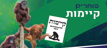 תמונת סיור