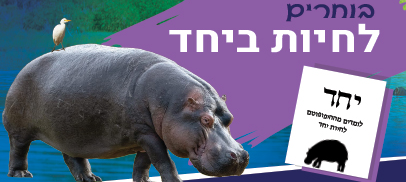 תמונת סיור