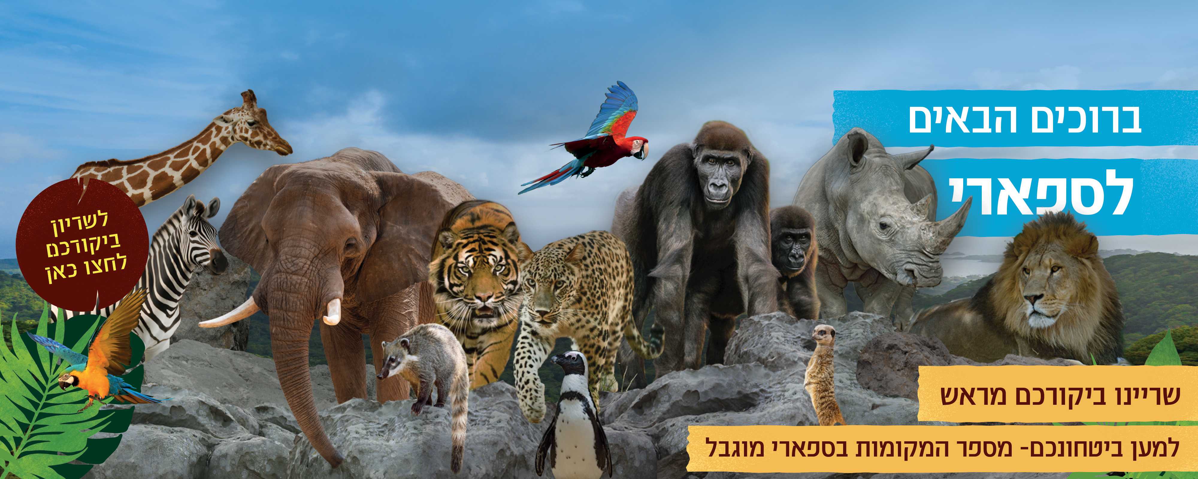 ברוכים הבאים לספארי לפרטים לחץ כאן