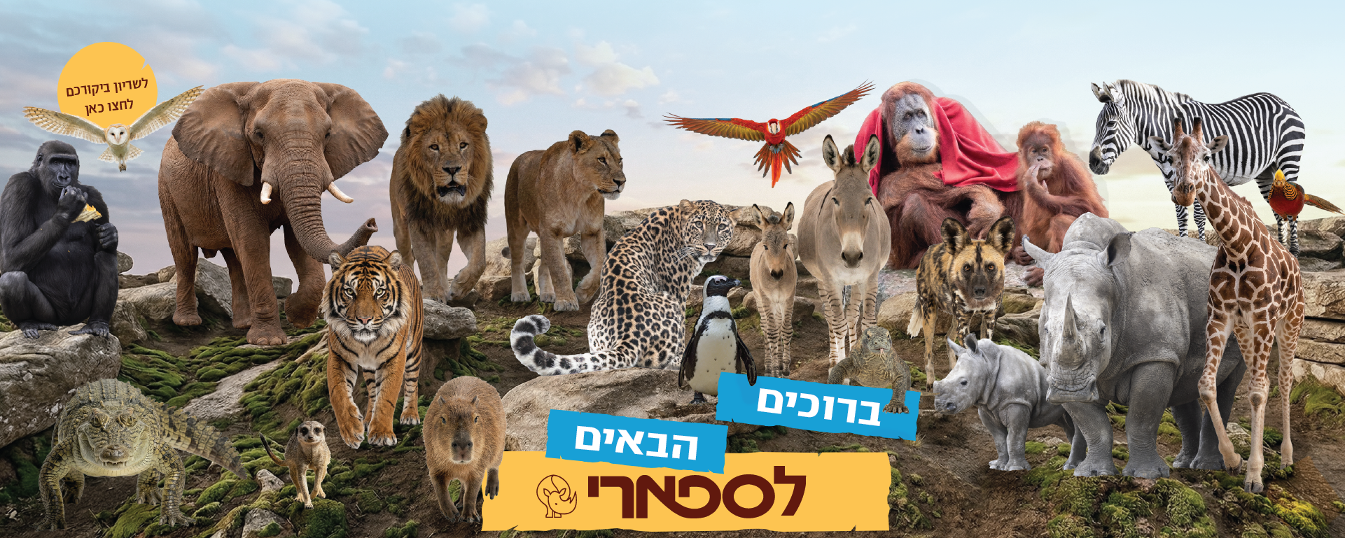 ברוכים הבאים לספארי לפרטים לחץ כאן