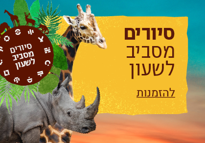 סיורים מסביב לשעון