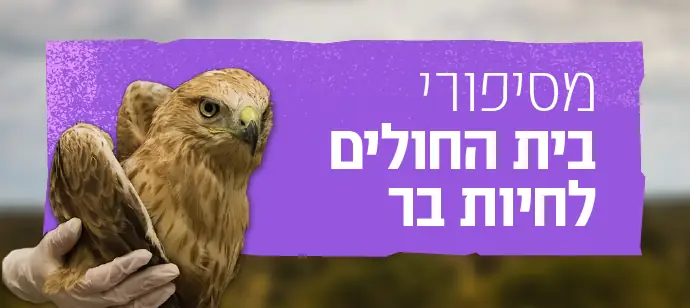 מסיפורי בית החולים לחיות בר