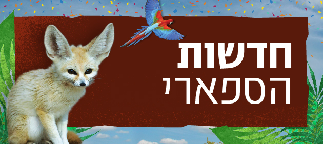 חדשות הספארי