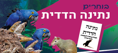 תמונת סיור