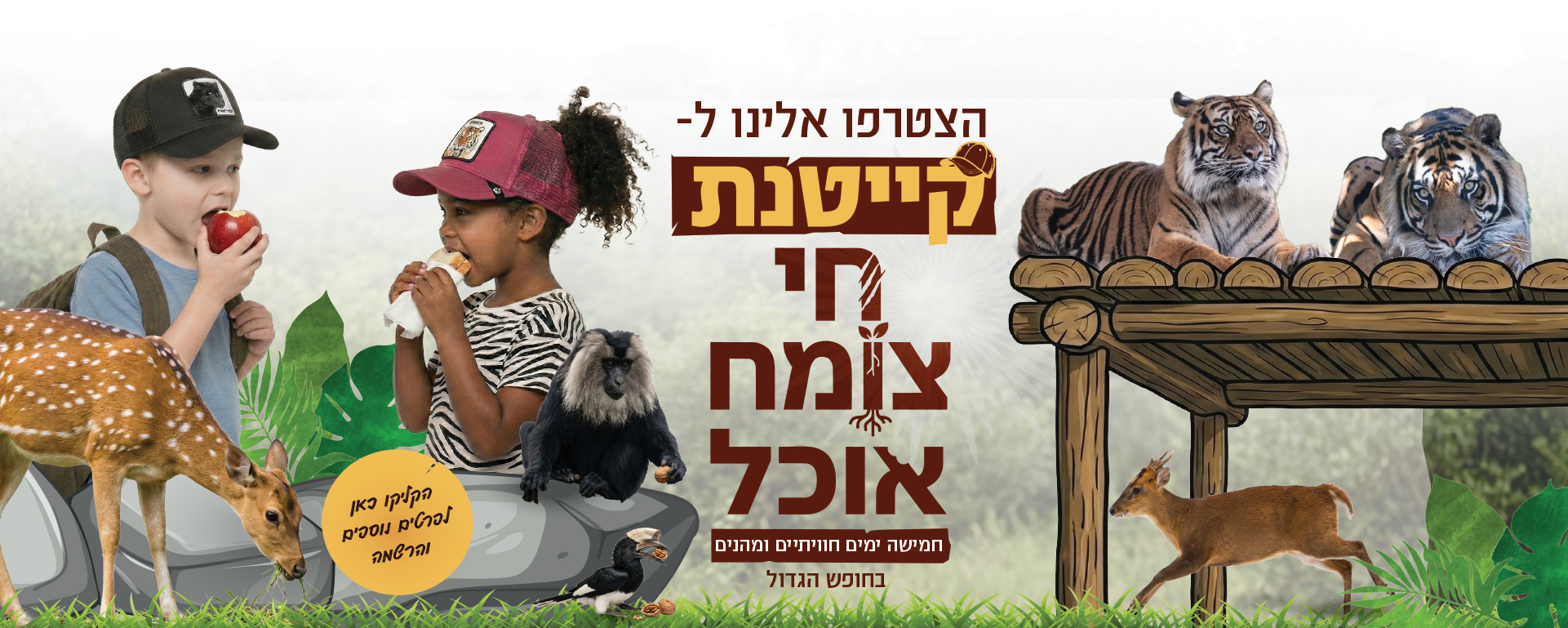 הצטרפו אלינו לקייטנת חי צומח אוכל. חמישה ימים חוויתיים ומהנים בחופש הגדול. הקליקו כאן לפרטים נוספים והרשמה