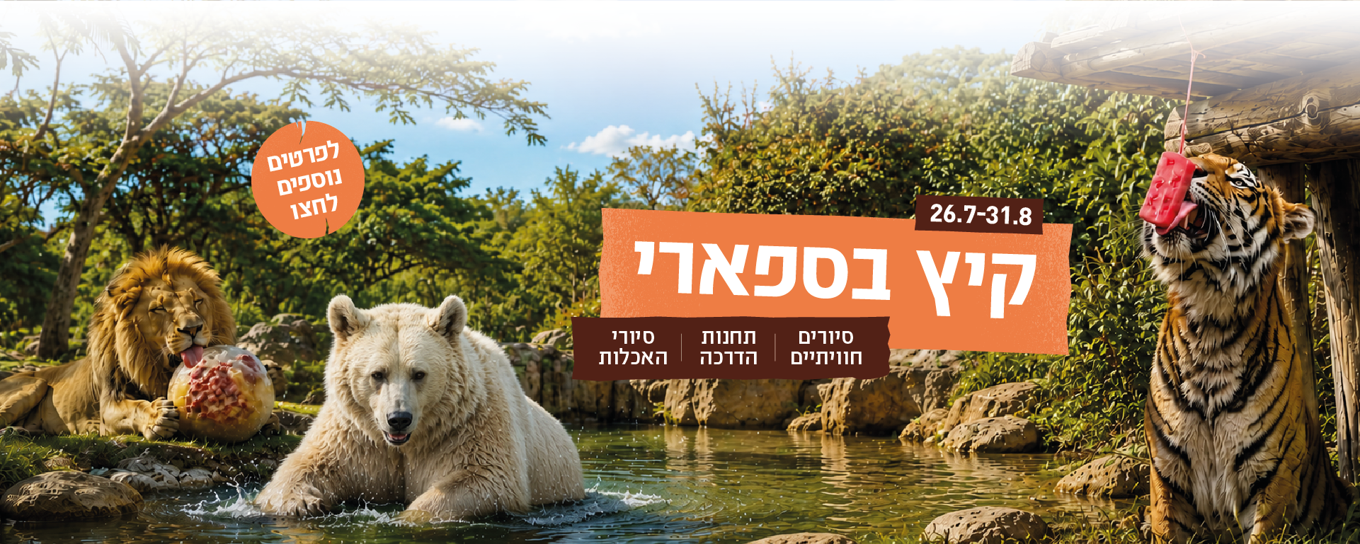 26.7-31.8 קיץ בספארי סיורים חוויתיים, תחנות הדרכה,סיורים והאכלות. לפרטים נוספים לחצו.