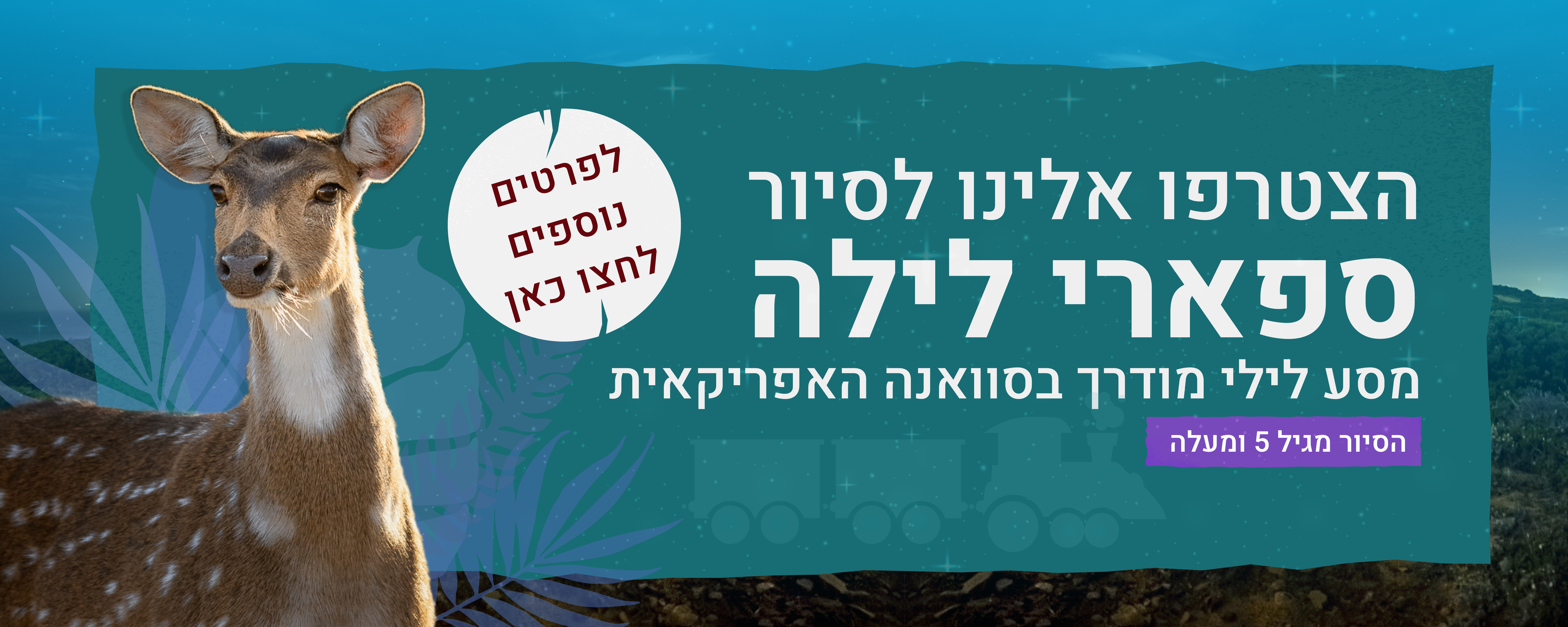 הצטרפו אלינו לסיור ספארי לילה מסע לילי מודרך בסוואנה האפריקאית. הסיור מגיל 5 ומעלה. לפרטים נוספים לחצו כאן.
