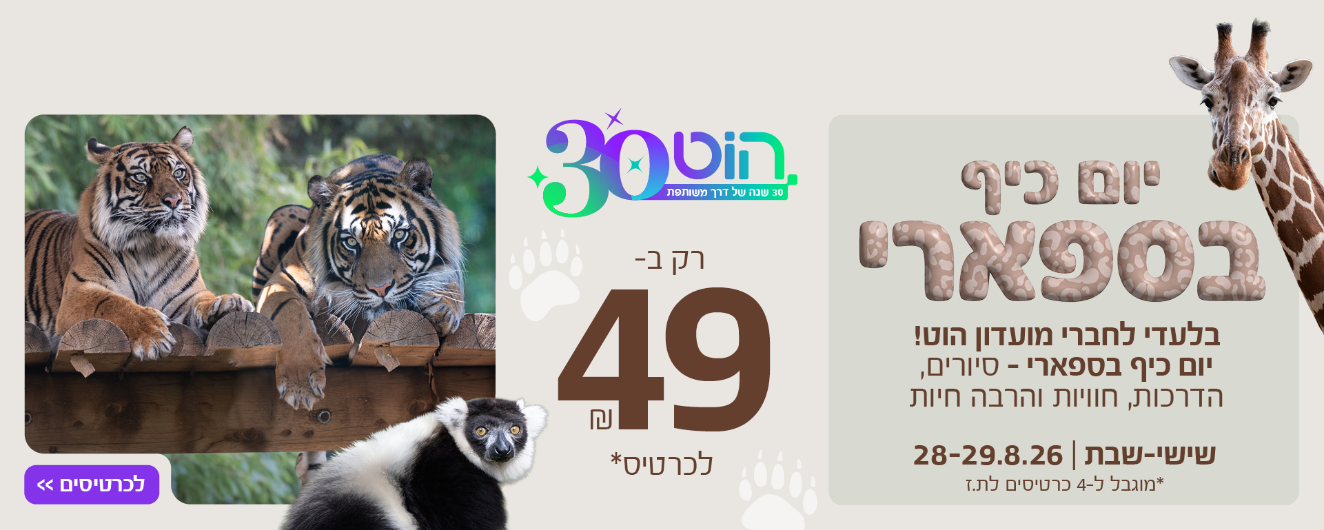 הוט 30 יום כיף בספארי. בלעדי לחברי מועדון הוט! סיורים, הדרכות, חוויות והרבה חיות רק ב- 49 ש"ח לכרטיס. שישי-שבת 28-29.8.26. מוגבל ל-4 כרטיסים לת.ז.