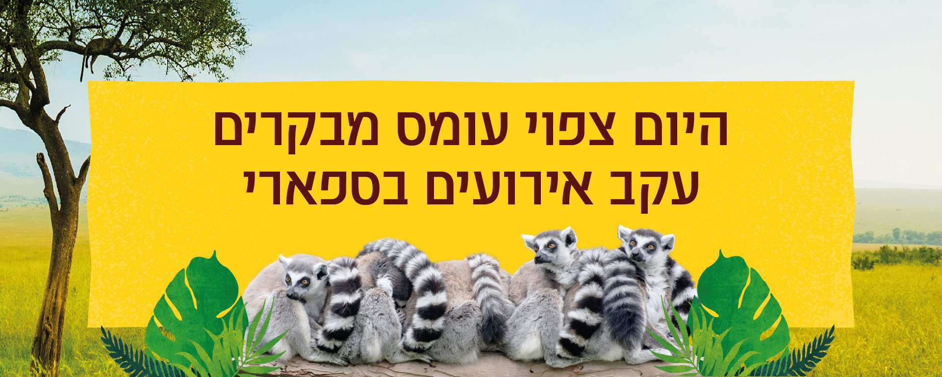 מבצע מנויים לתושבי רמת גן - מנוי גולד + רמת גן+
