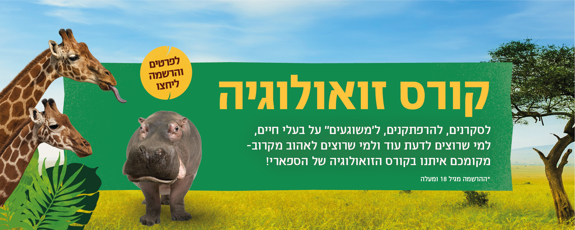 מנוי גולד + ר"ג